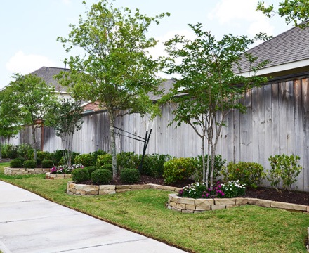 Katy Landscaping26