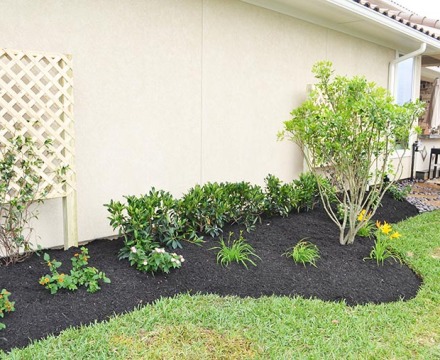 Katy Landscaping7